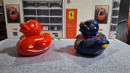 Racing Ducks