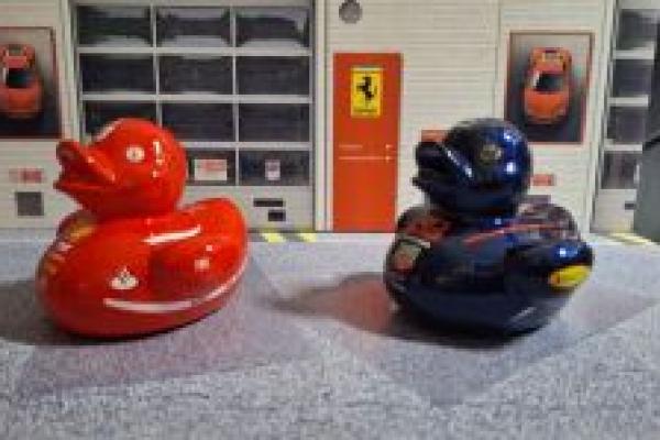 Racing Ducks